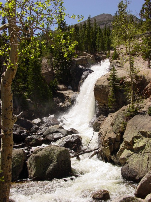 Alberta Falls