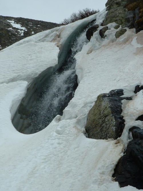 Timberline Falls