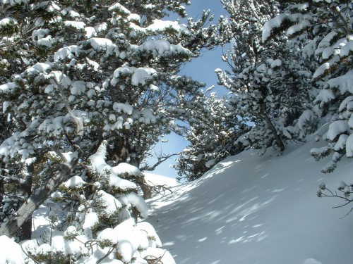 Snow Tunnel