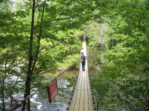 Rope Bridge