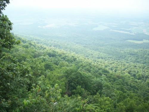 Flat Rock View