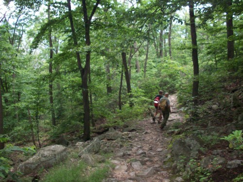Typical Flat Rock Trail