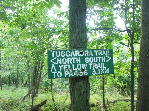 Yellow Trail