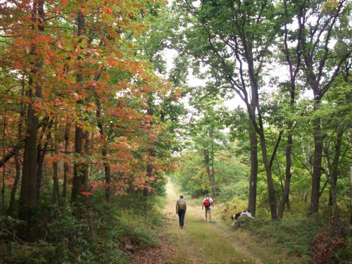 The hikers