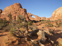 Arches National Park